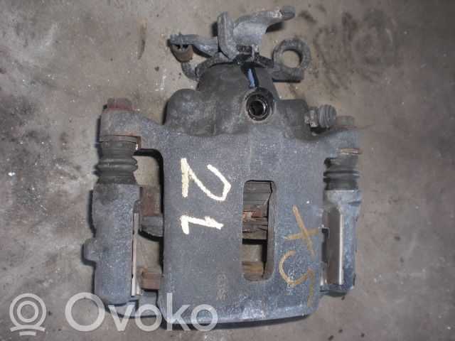 Etujarrusatula   JLM21462