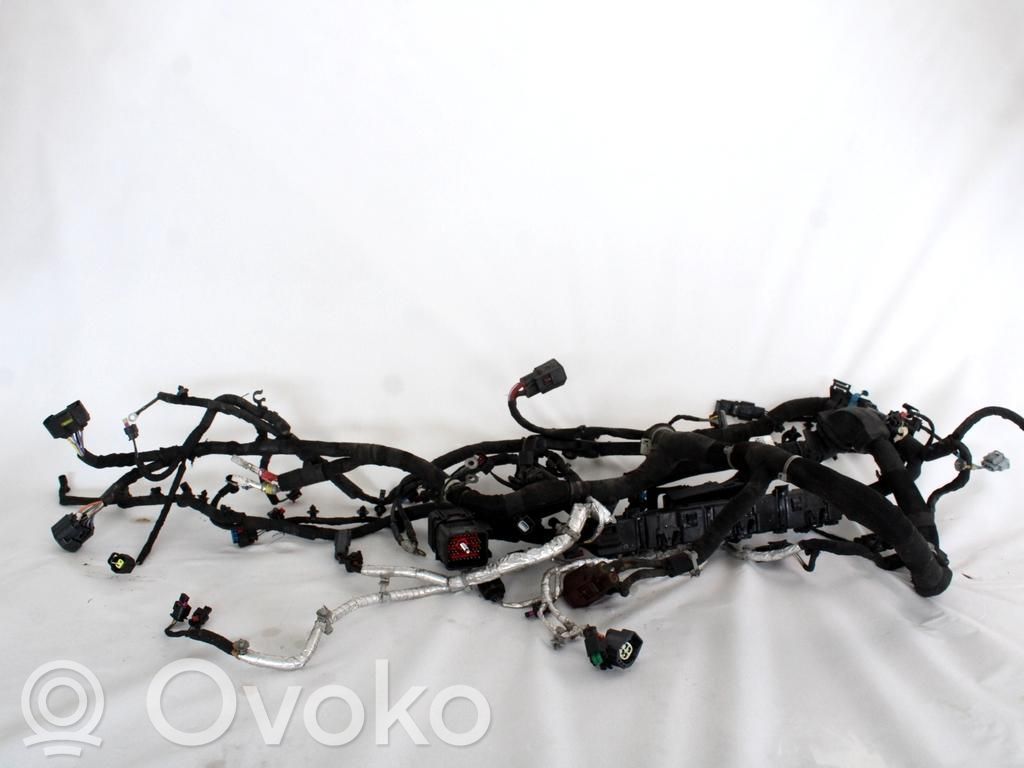 Land Rover Range Rover Evoque L538 Cablaj motor