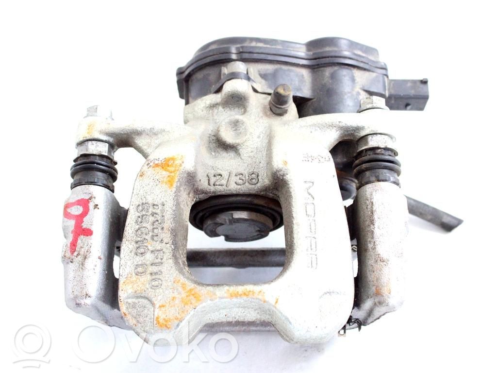 Takajarrusatula   52029648