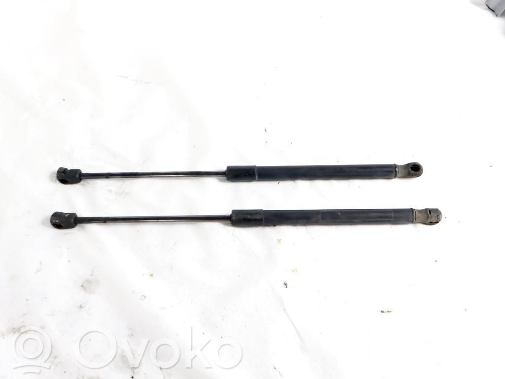 Hyundai Santa Fe Amortizor capotă motor