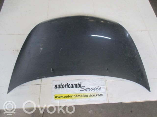 Motorhaube   1087913
