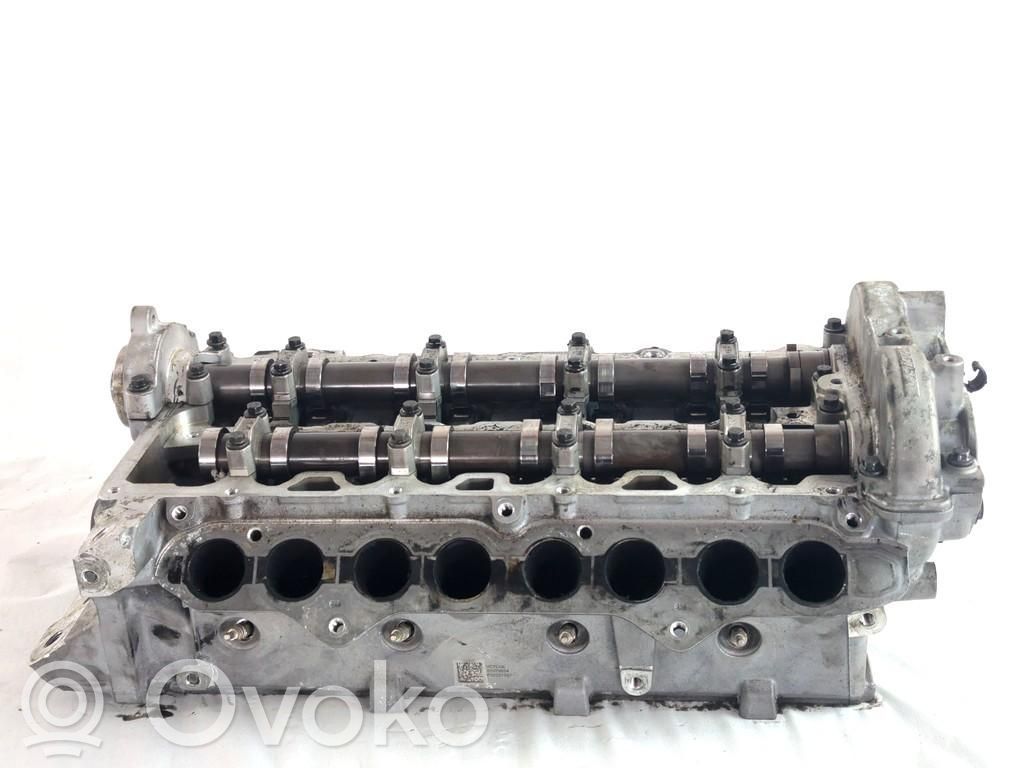 Galvutė   31480504