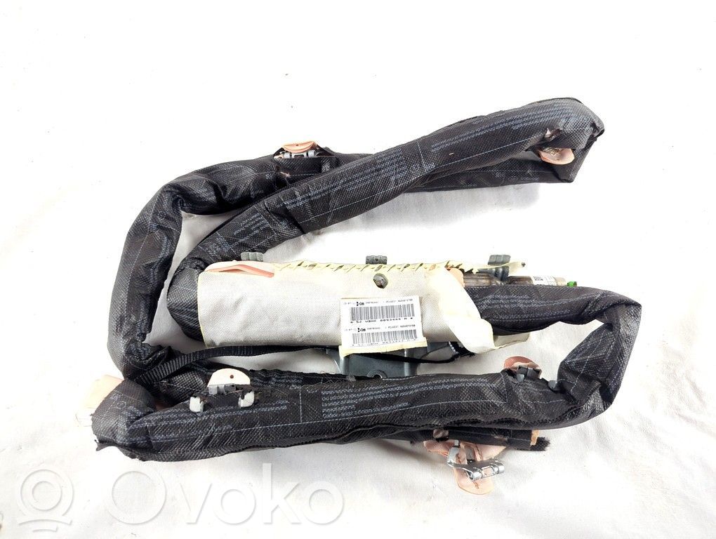 Airbag del techo   9684873780