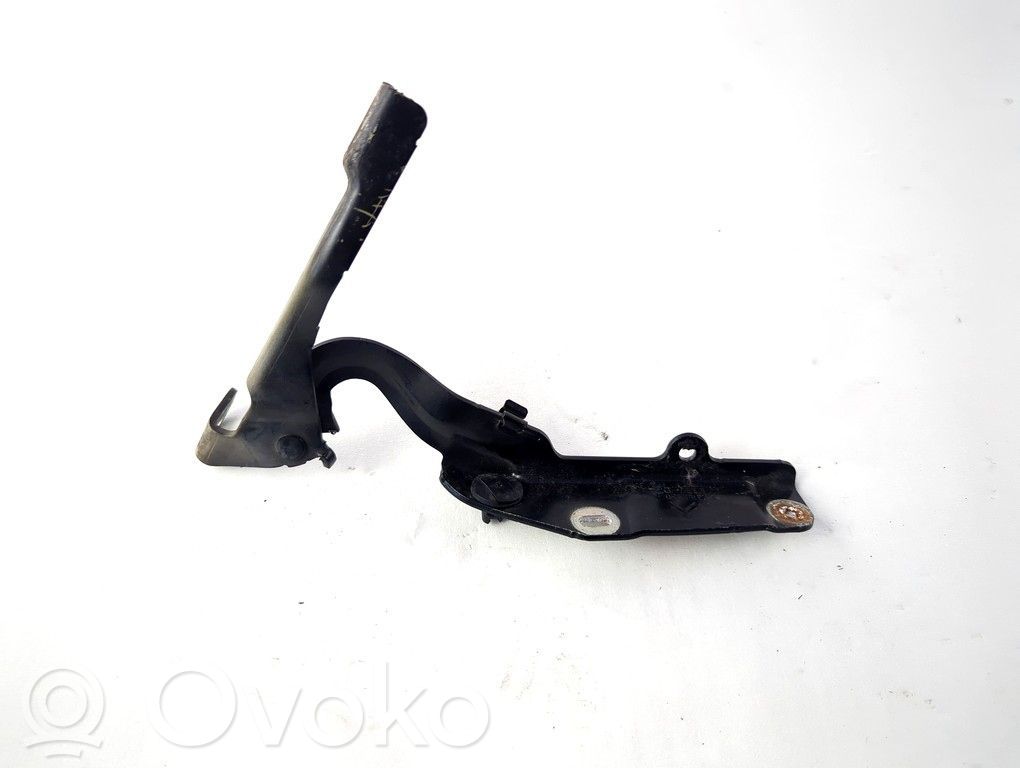 Citroen C3 Picasso Cerniere del vano motore/cofano 