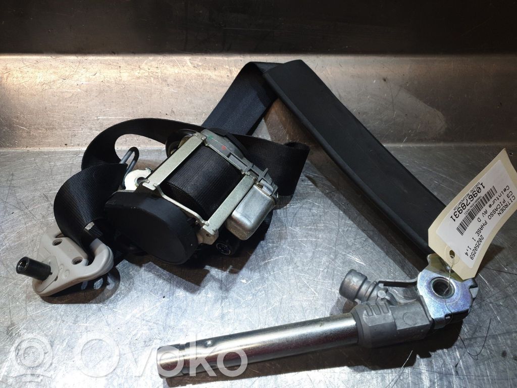 Cinturón delantero   8975GW