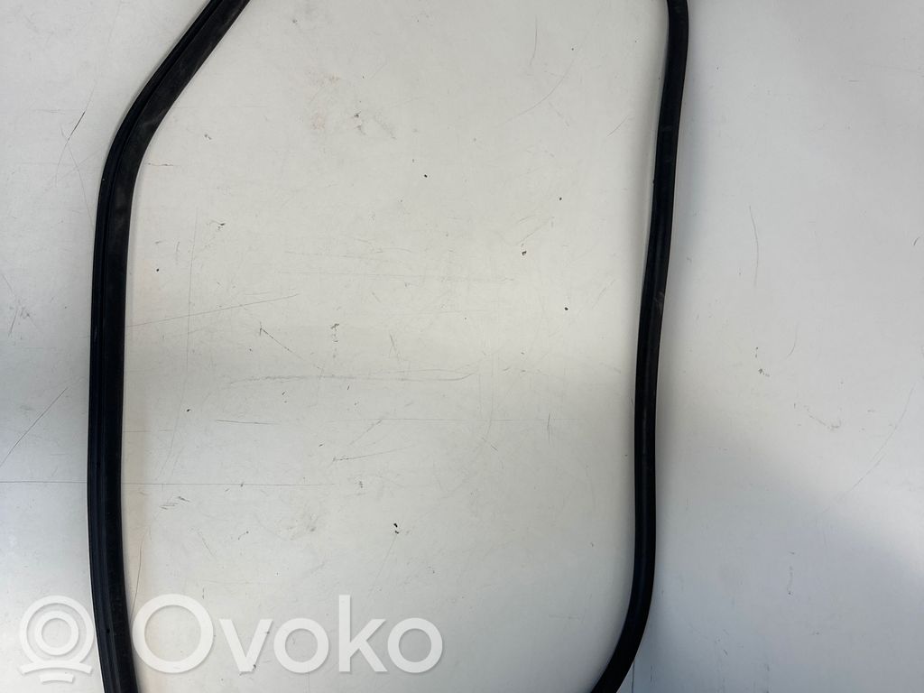 Peugeot 308 Front door rubber seal 