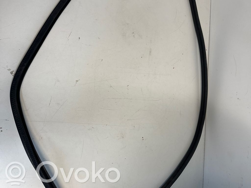 Peugeot 308 Front door rubber seal 