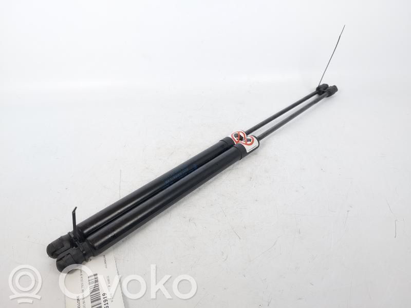 Ford B-MAX Rear window strut damper 