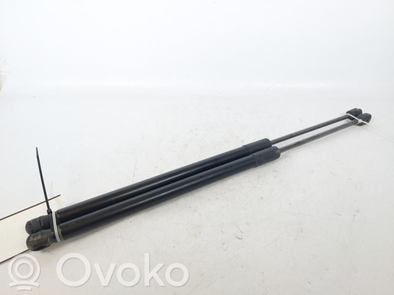 Ford Focus Rear window strut damper 