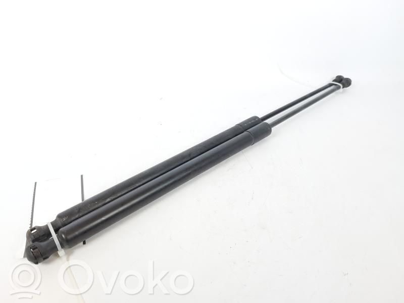 Citroen C3 Picasso Rear window strut damper 