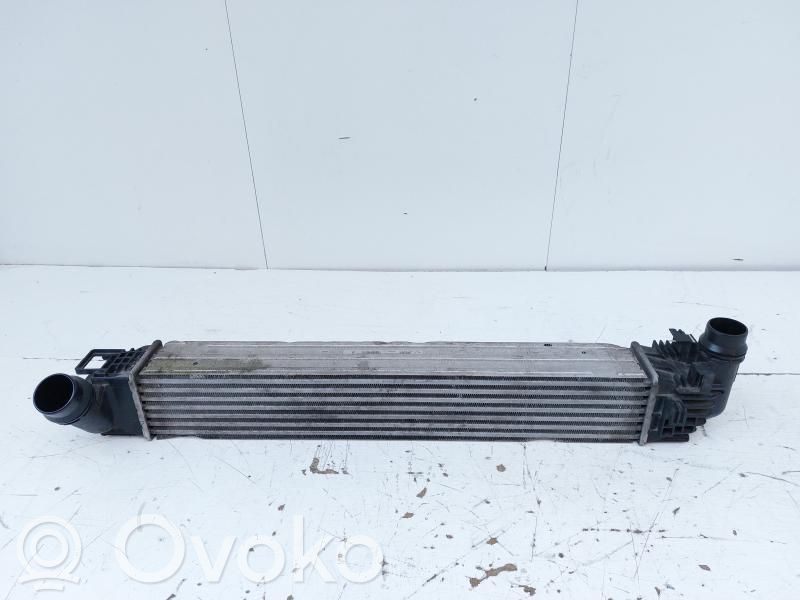 Dacia Duster Intercooler radiator 