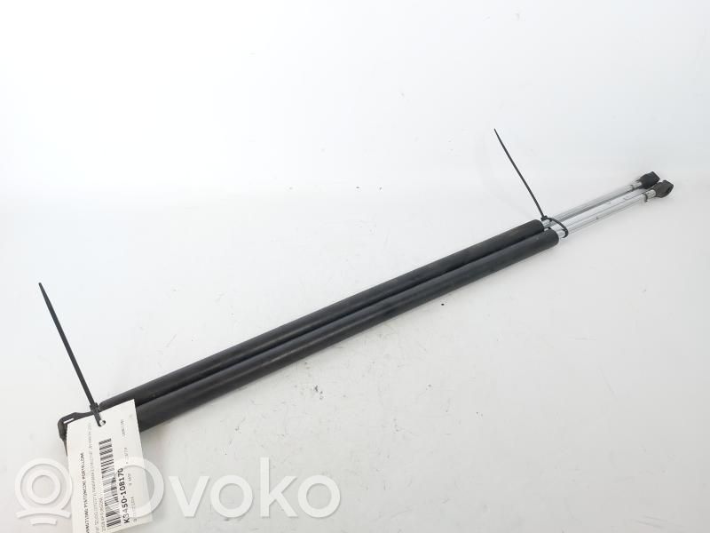 Fiat Scudo Rear window strut damper 