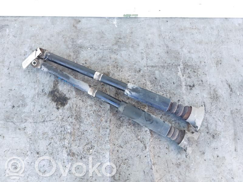 Ford Fusion Amortizor spate 
