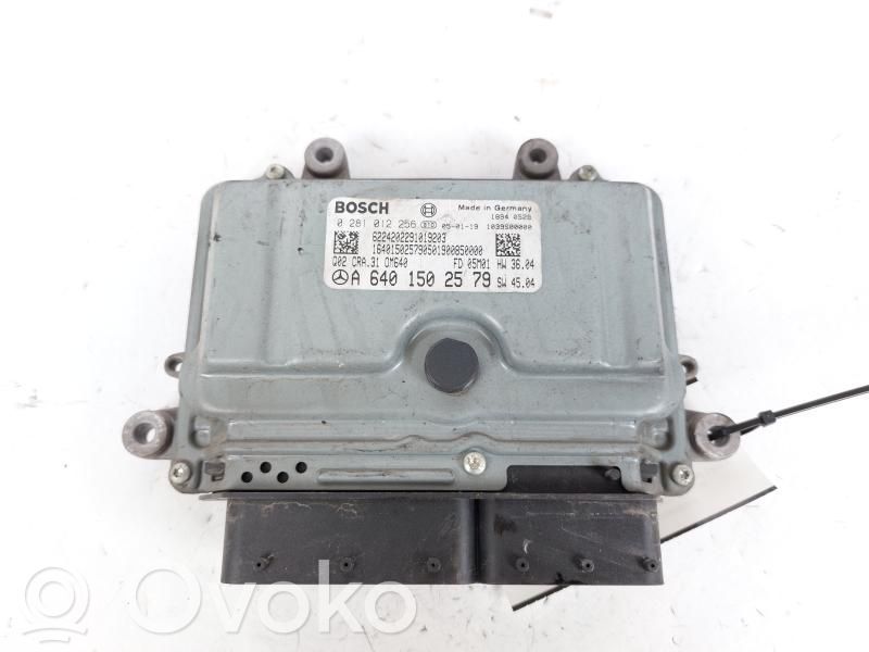 Sterownik / Moduł ECU   A6401502579,0281012256