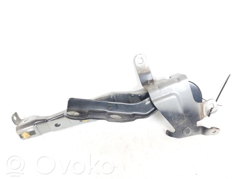 Renault Clio IV Engine bonnet/hood hinges 
