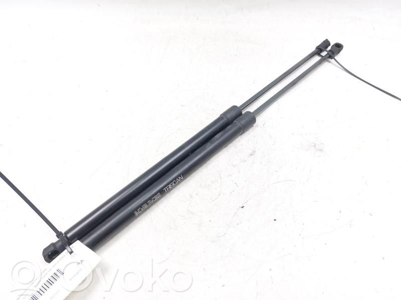 Chevrolet Aveo Rear window strut damper 