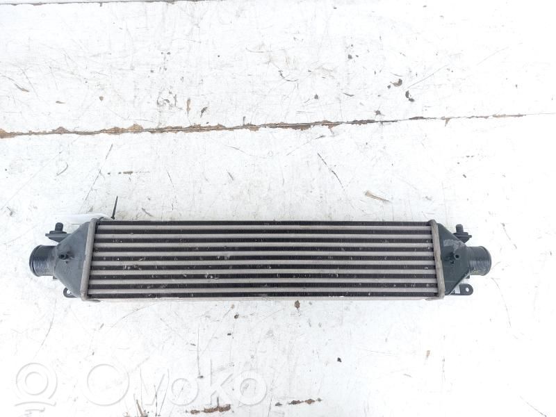 Fiat Doblo Radiador intercooler 