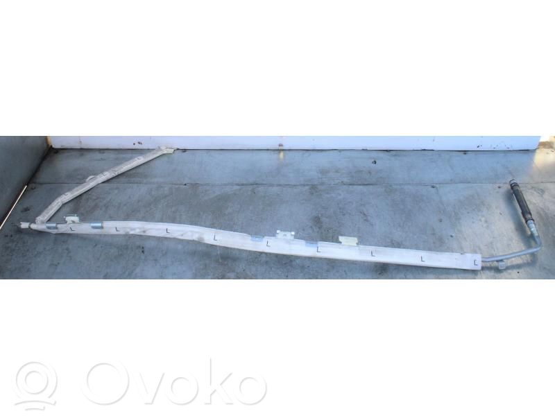 Skoda Octavia Mk2 (1Z) Airbag laterale