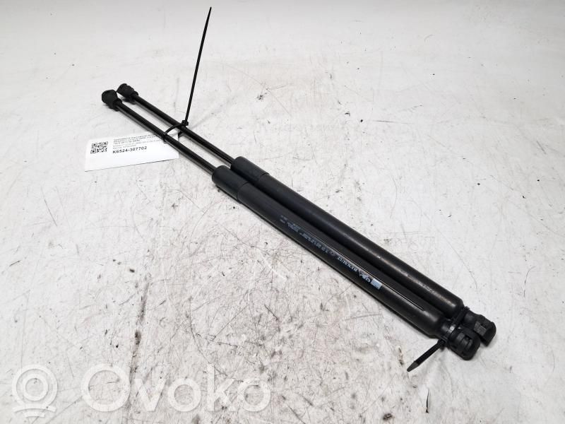 Renault Clio IV Rear window strut damper 