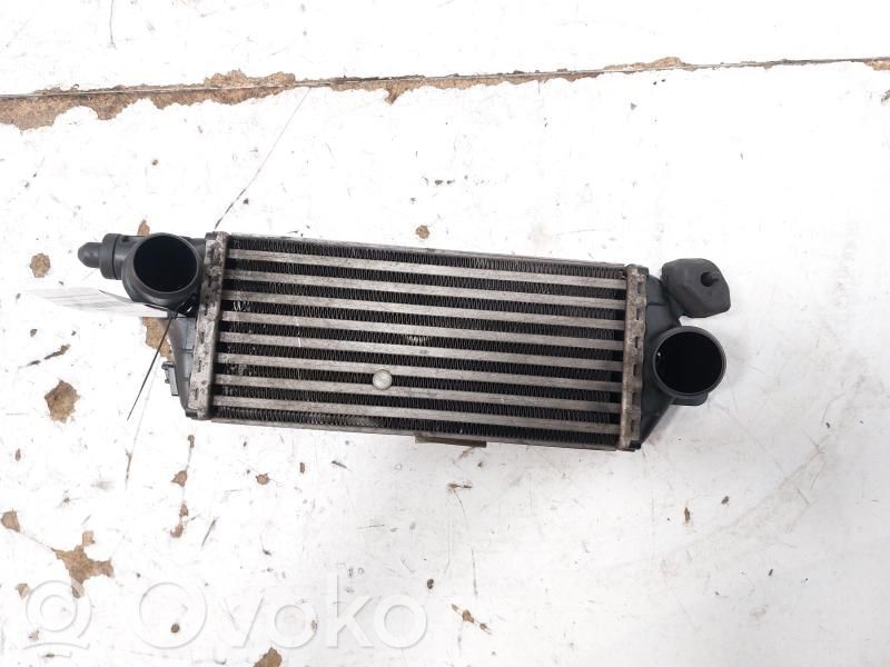 Mini One - Cooper R50 - 53 Interkūlerio radiatorius 