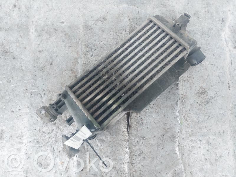 Fiat 500 Intercooler radiator 