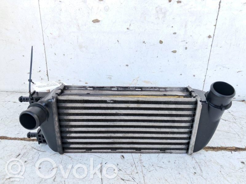 Fiat 500 Intercooler radiator 