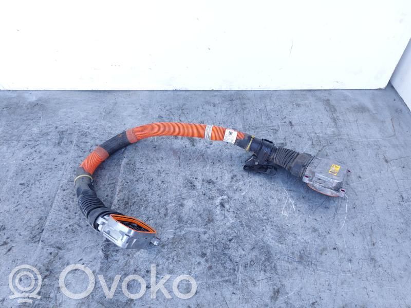 BMW X1 F48 F49 Cablaj motor 