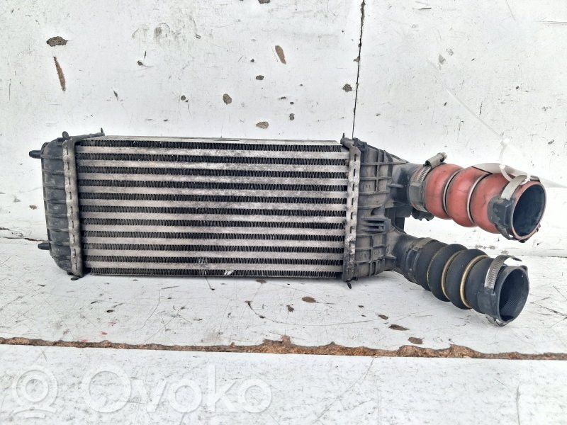 Peugeot 208 I Intercooler radiator 
