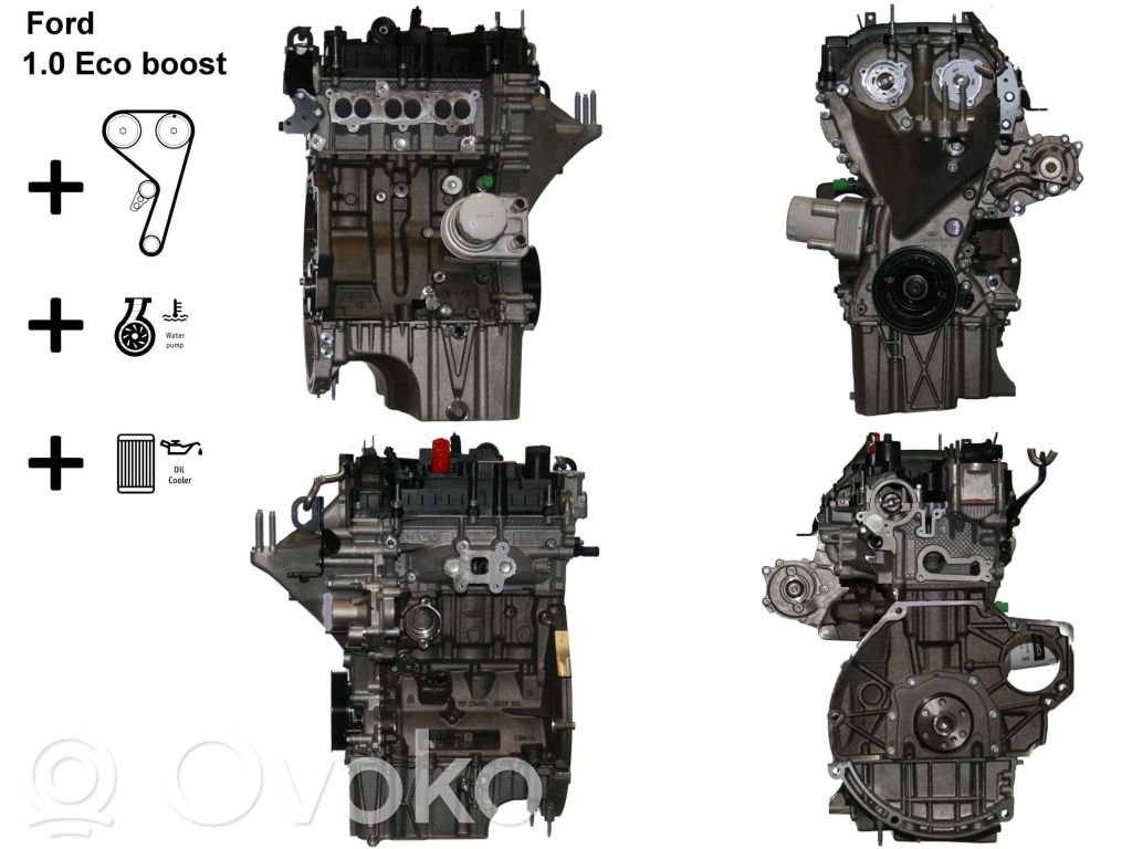 Engine   M2DB
