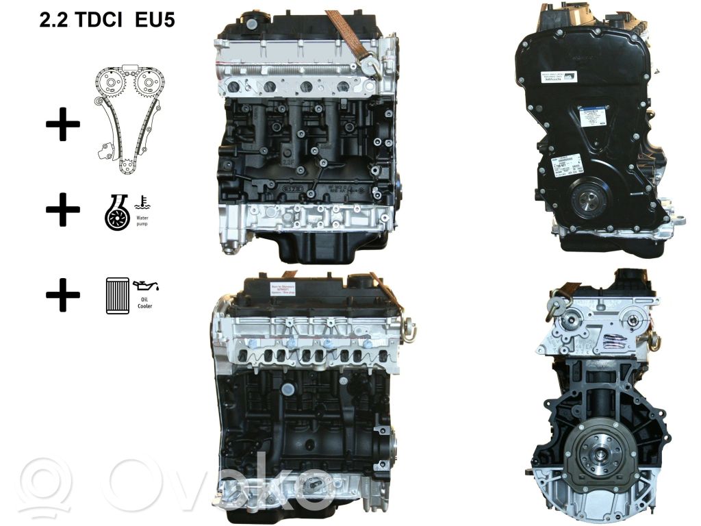 Motor   DRFD