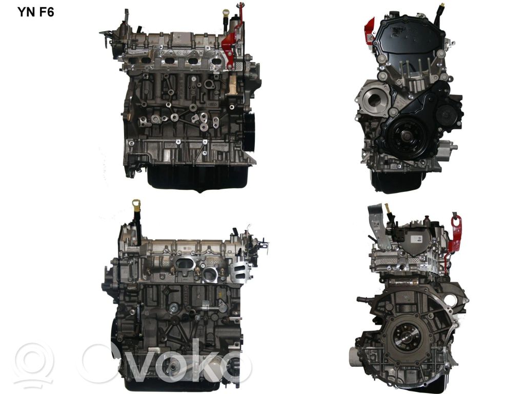 Motor   YMFA