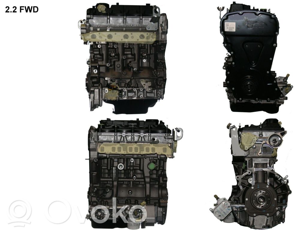 Motor   DRFD