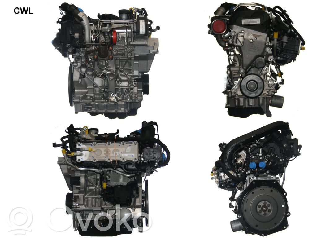 Motor   CWL