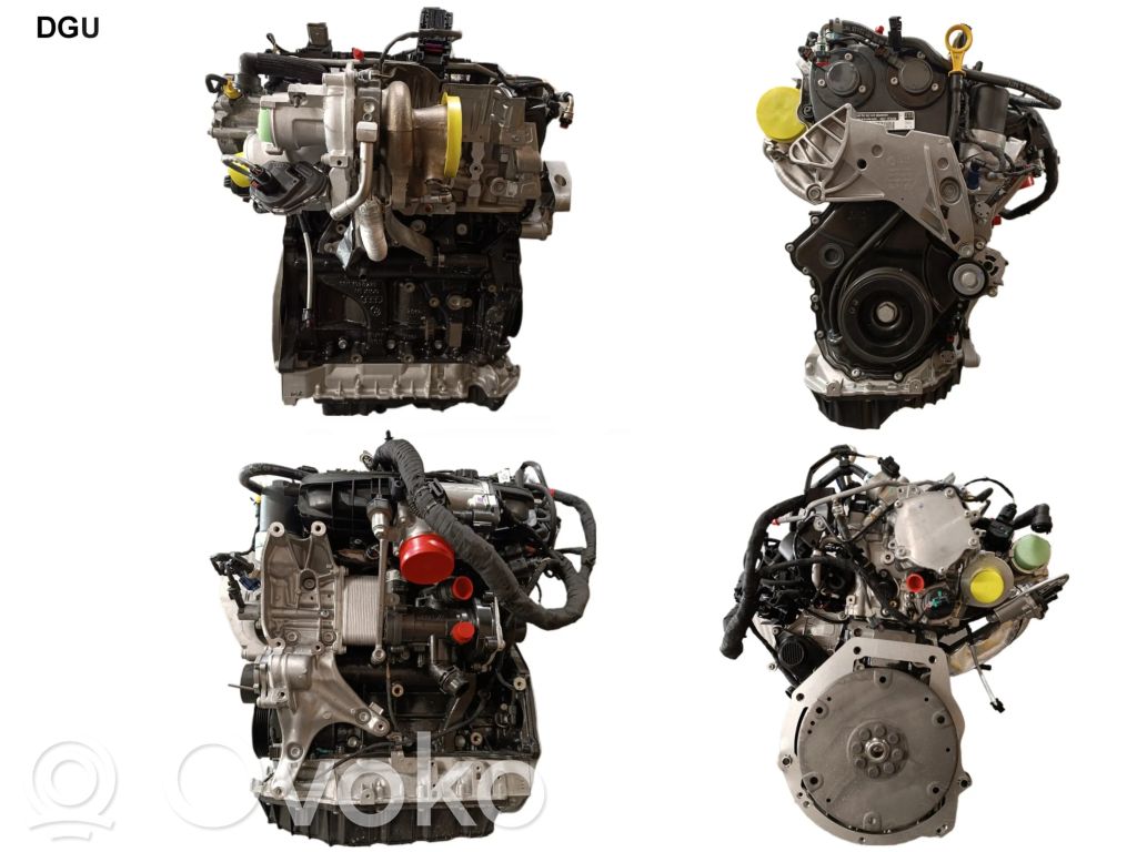 Motor   DGU