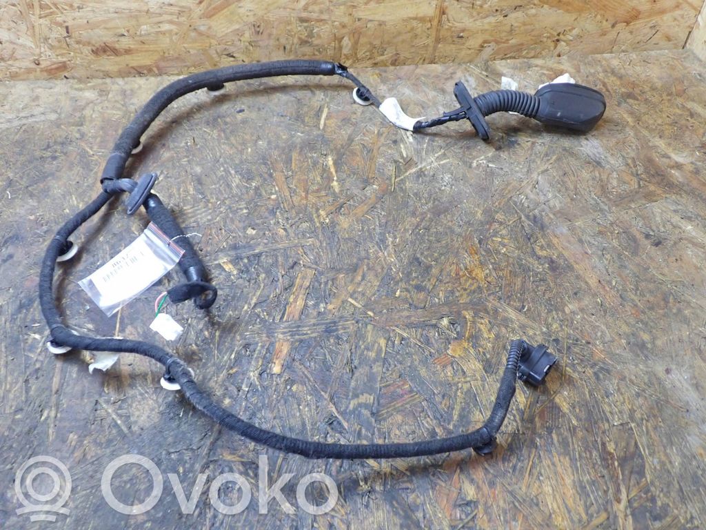 Cableado de puerta trasera   241270521R
