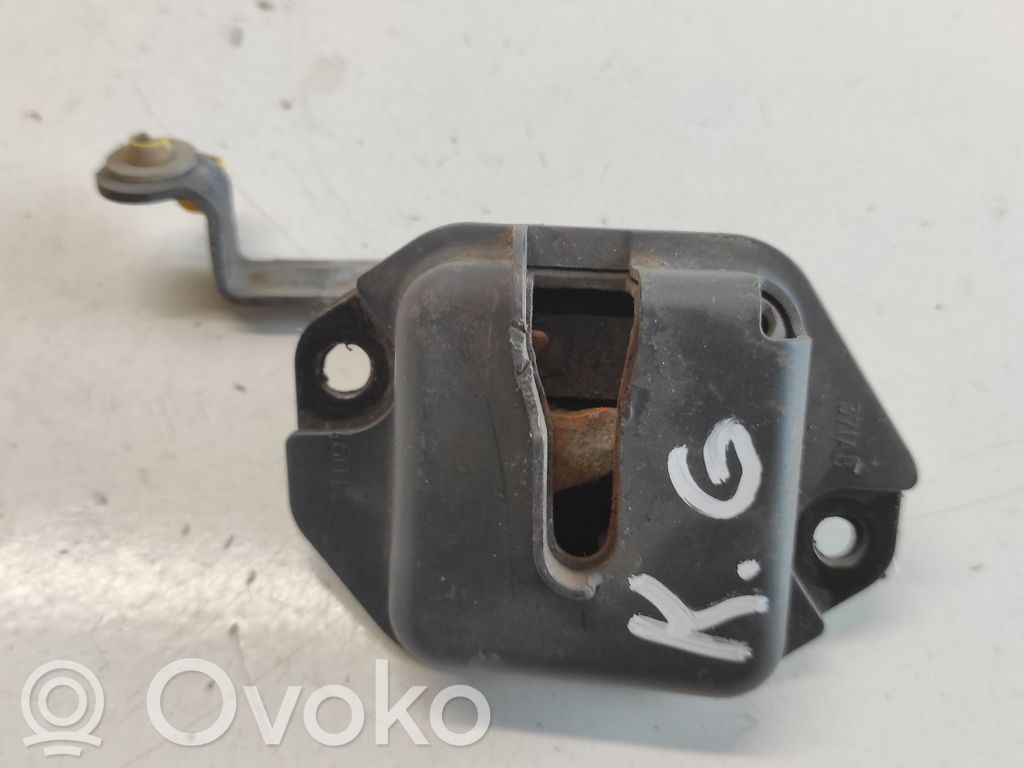 Dodge Caravan Rear door lock 