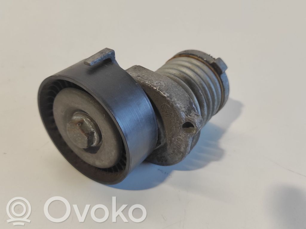 Skoda Fabia Mk1 (6Y) Diržo įtempėjas 