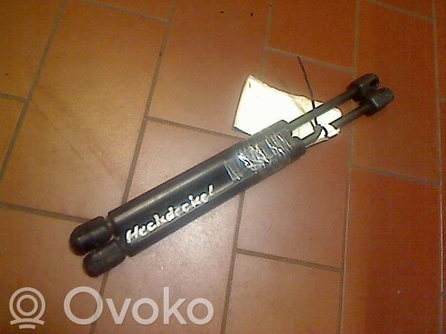 Tailgate/trunk strut/damper