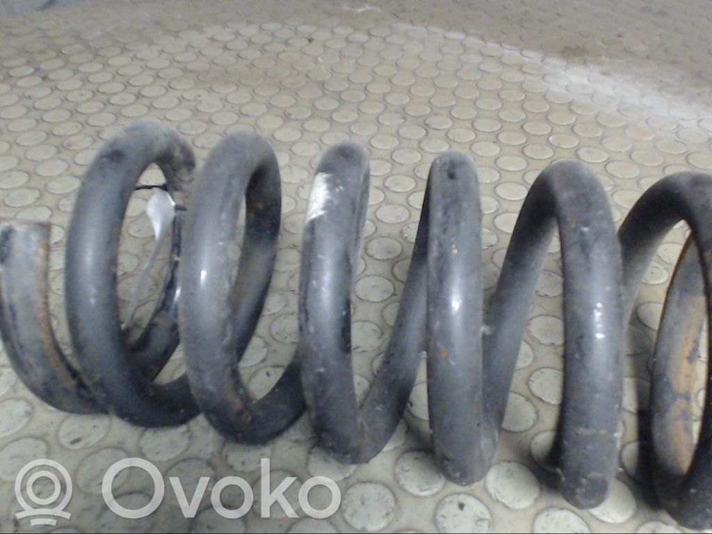 Front coil spring