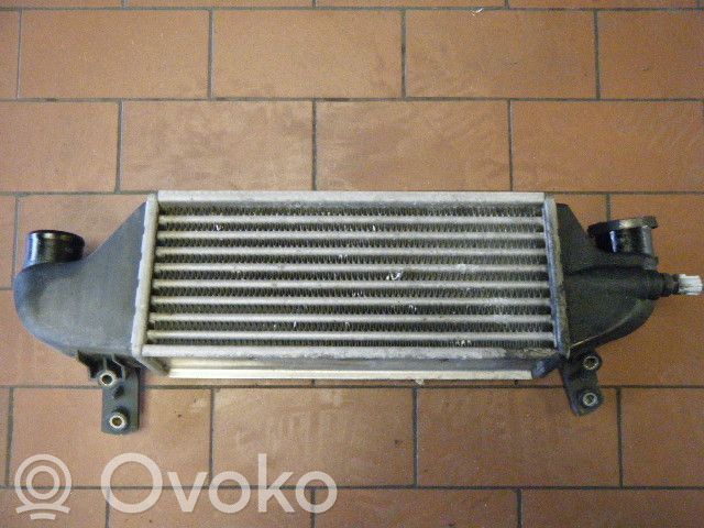 Ford Focus Interkūlerio žarna (-os)/ vamzdelis (-iai) 