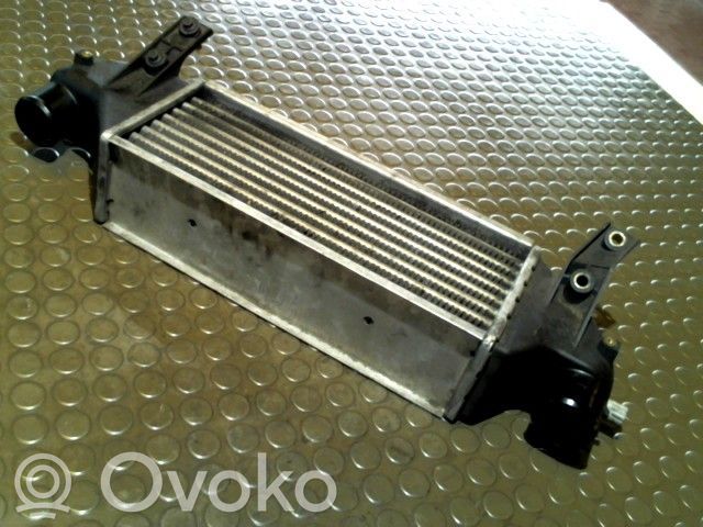 Ford Focus Interkūlerio žarna (-os)/ vamzdelis (-iai) 