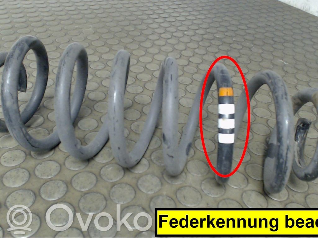 Rear coil spring   0000