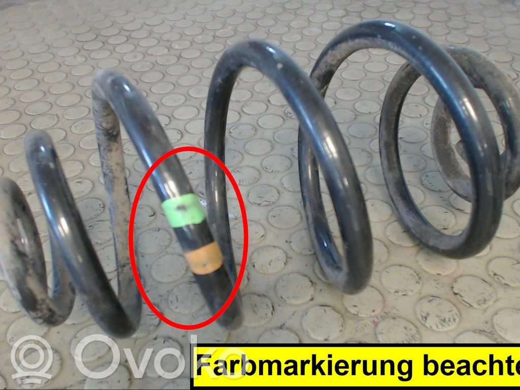 Feder hinten   0000