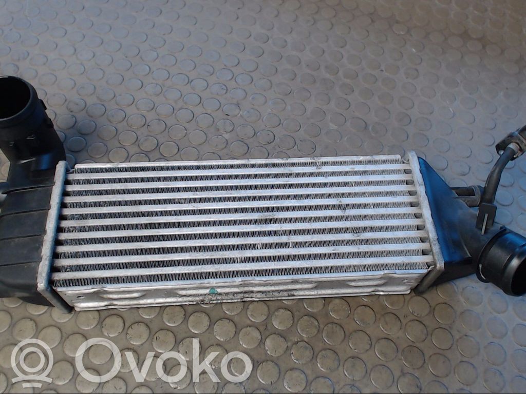 Citroen C8 Intercooler hose/pipe 