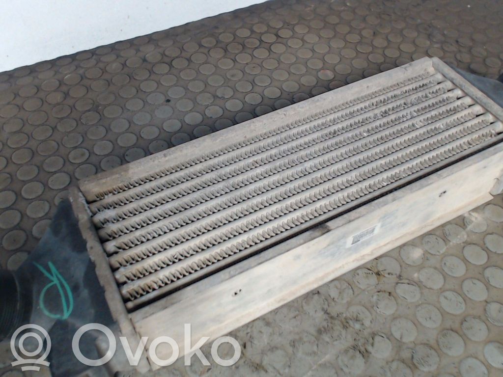 Ford Transit Interkūlerio žarna (-os)/ vamzdelis (-iai) 
