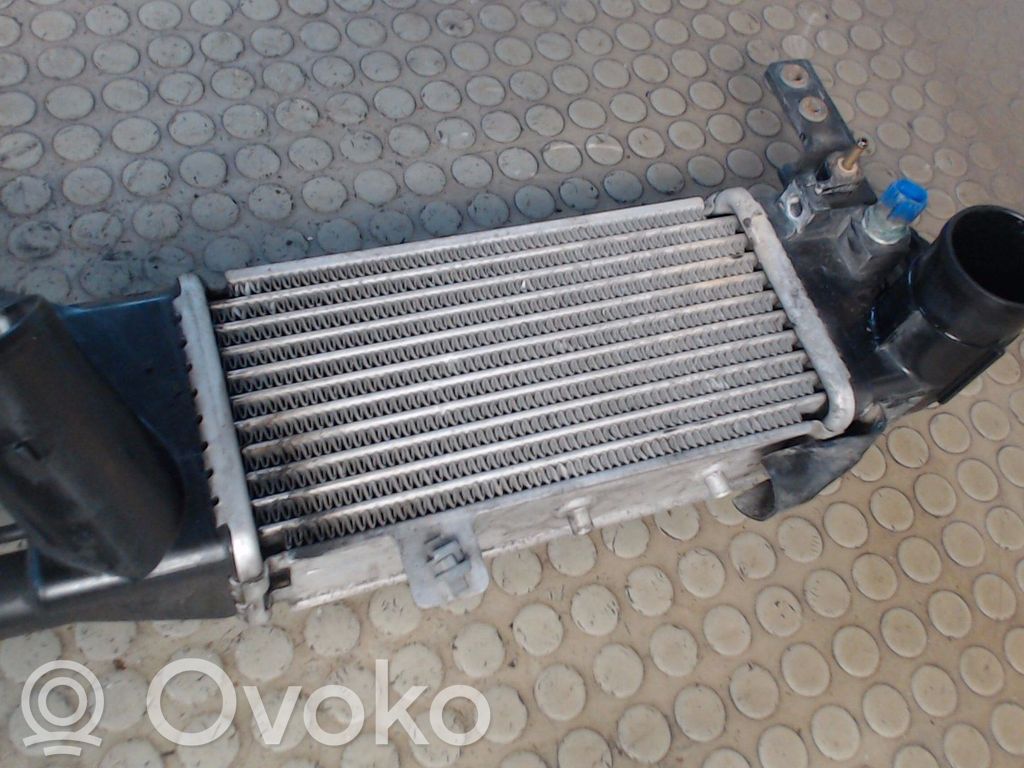 Mazda Premacy Interkūlerio žarna (-os)/ vamzdelis (-iai) 