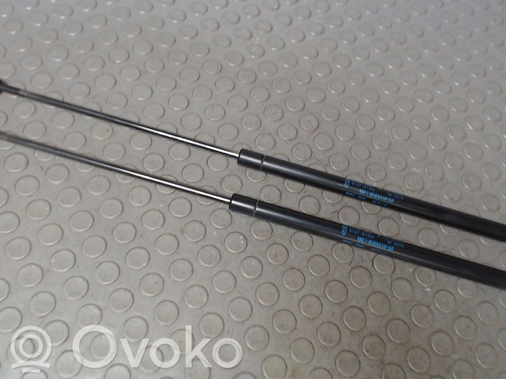 Ford Focus Tailgate/trunk strut/damper 