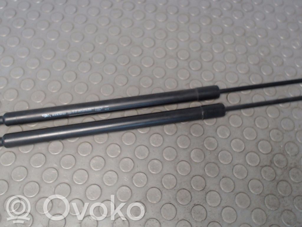Renault Modus Ammortizzatore portellone posteriore/bagagliaio 