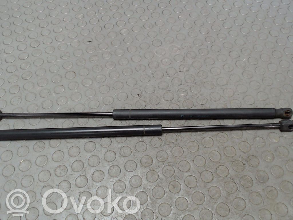 Ford Fusion Tailgate/trunk strut/damper 