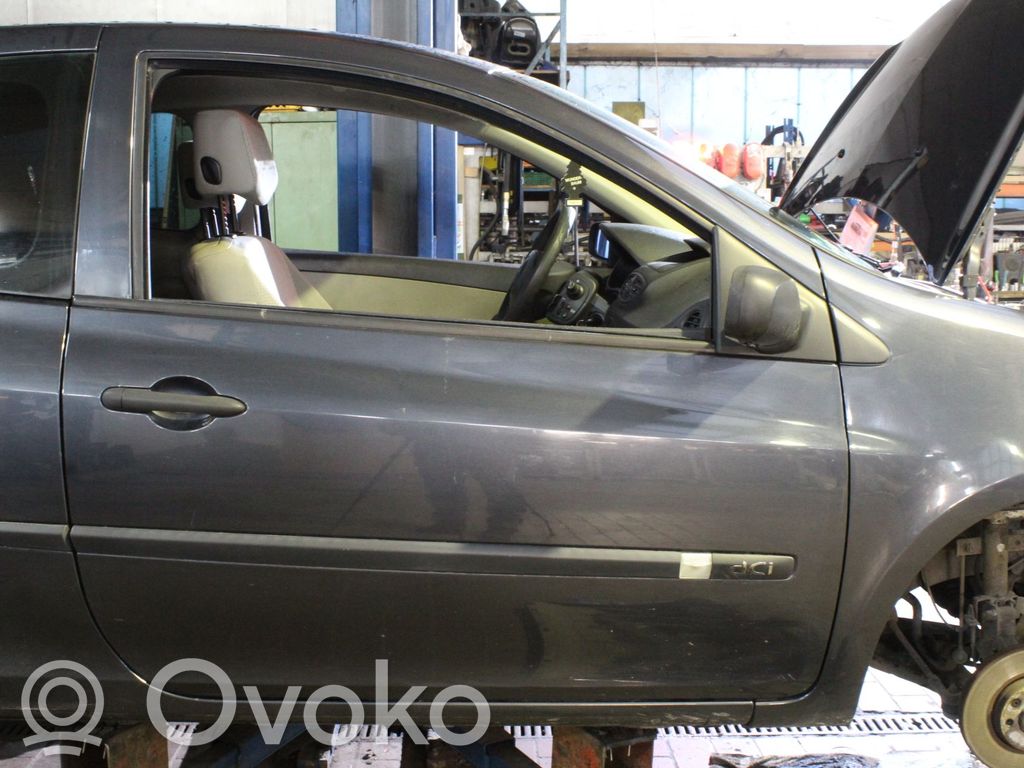 Renault Clio III Puerta delantera 